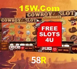 Exclusive Offers 58R